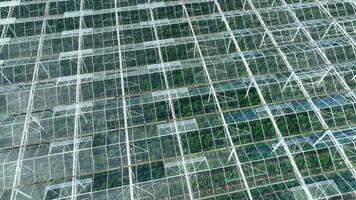 aérien vue de une serre utilisé à grandir fruit et des légumes pour supermarchés video