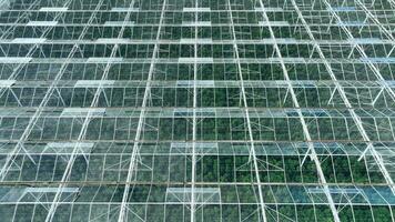 Greenhouse Used to Grow Fruit and Vegetables for Supermarkets video
