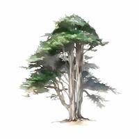 generativo ai contenido, acuarela árbol aislado en blanco antecedentes para dibujo paisaje y arquitectura, elementos para ambiente y jardín foto