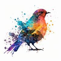 Watercolor colorful bird. Illustration photo