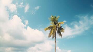 Palms on the beach. Illustration photo