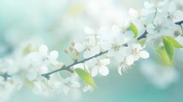 Spring blossom trees background. Illustration photo