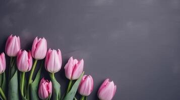 Pink tulips background. Illustration photo