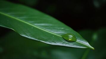 verde hoja con agua soltar ilustración ai generativo foto