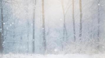 Winter Christmas Forest Background. Illustration photo