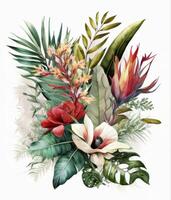 Watercolor tropical leaves. Illustration photo