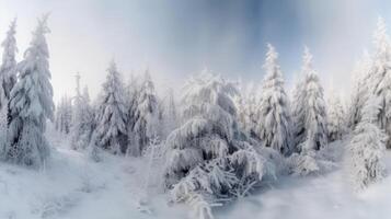 Winter Christmas Forest Background. Illustration photo