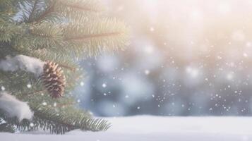 Winter fir in snow. Illustration photo