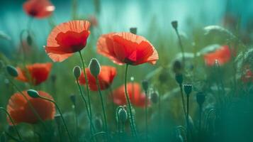 rojo amapolas antecedentes. ilustración ai generativo foto