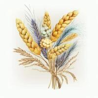 Watercolor yellow wheat ears bouquet Illustration photo