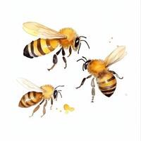 acuarela miel abeja. ilustración ai generativo foto