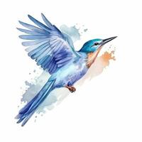 Watercolor blue bird. Illustration photo