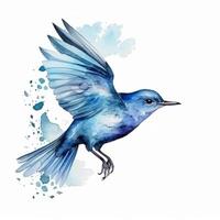 Watercolor blue bird. Illustration photo