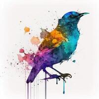 Watercolor colorful bird. Illustration photo