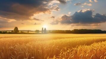 Summer field landscape. Illustration photo