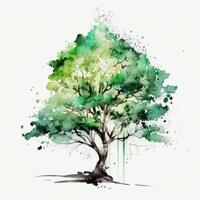 Watercolor green tree, Illustration photo