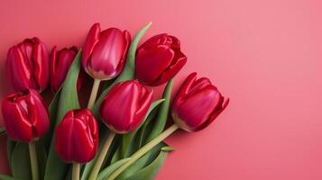 Pink tulips background. Illustration photo