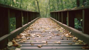 Autumn wooden background. Illustration photo