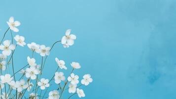 blanco primavera flores en azul antecedentes. ilustración ai generativo foto