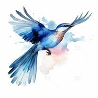 Watercolor blue bird. Illustration photo
