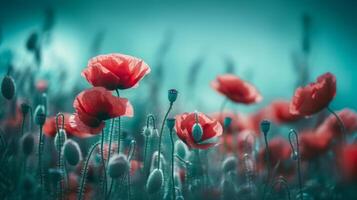 Red poppies background. Illustration photo