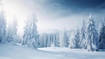 Winter Christmas Forest Background. Illustration photo