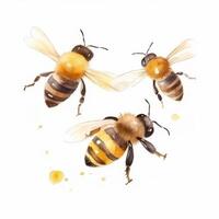 acuarela miel abeja. ilustración ai generativo foto