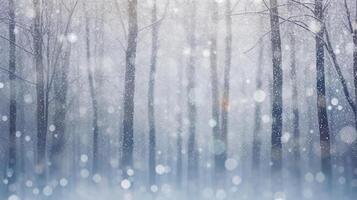 Winter Christmas Forest Background. Illustration photo