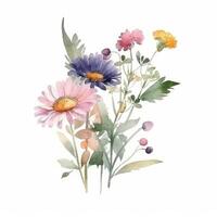 Watercolor wildflower bouquet. Illustration photo