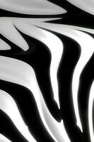 Monochrome Patterned Zebra Art Illustration photo