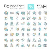 CIAM RGB color icons set. Consumer security. User confidential data management. Isolated vector illustrations. Simple filled line drawings collection. Editable stroke