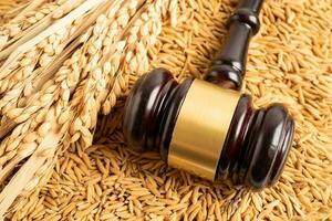 Judge gavel hammer with good grain rice from agriculture farm. Law and justice court concept. photo