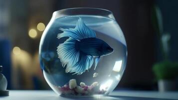 Betta fish in round glass aquarium on table. photo