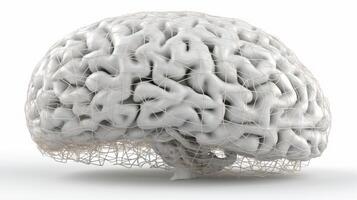humano cerebro en blanco antecedentes 3d prestar. ai generado foto