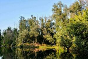 por el orilla del río foto