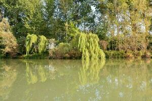 By the riverbank photo