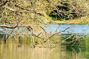 By the riverbank photo