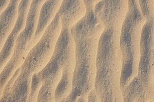 Sand texture background photo