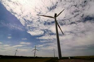 Field with windmills photo