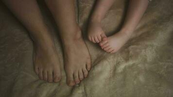 Cute little baby feet in white blanket photo