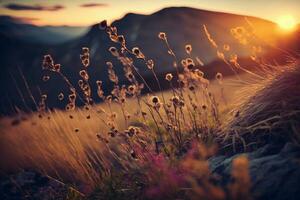 Wild grass in the mountains at sunset. Macro image, shallow depth of field AI Generated photo