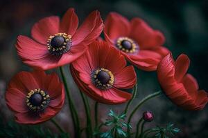 Red anemone flowers AI Generated photo