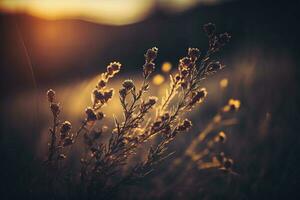 Wild grass in the mountains at sunset. Macro image, shallow depth of field AI Generated photo