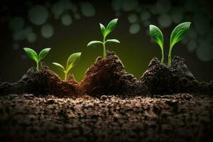 Seedling are growing from the rich soil. Concept of business growth, profit, development and success AI Generated photo