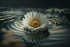 white flower floating on top of a body of water AI Generated photo