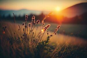 Wild grass in the mountains at sunset. Macro image, shallow depth of field AI Generated photo