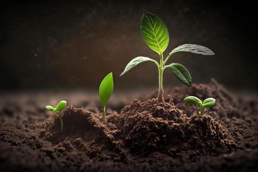 Seedling are growing from the rich soil. Concept of business growth, profit, development and success AI Generated photo