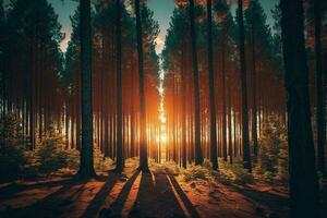 Beautiful forest with tall trees AI Generated photo