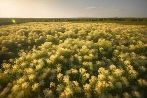 Stevia rebaudiana, sweet leaf sugar substitute isolated on field background. Neural network photo