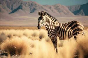 plains zebra, equus quagga, equus burchellii, common zebra. Neural network AI generated photo